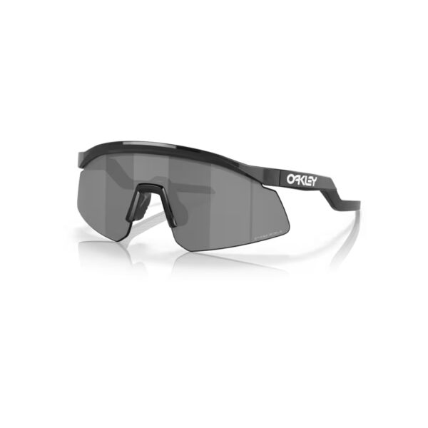 Oakley Custom Hydra sunglasses