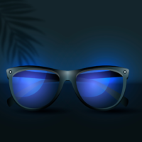 POWER SUNGLASSES