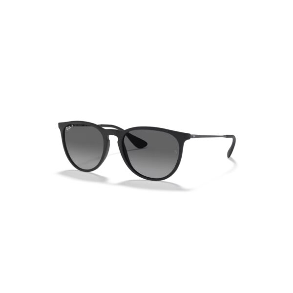 Ray-Ban 0RB4171 - Erika - Rubber Black