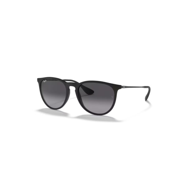 Ray-Ban 0RB4171 - Erika - 622/8G - Rubber black
