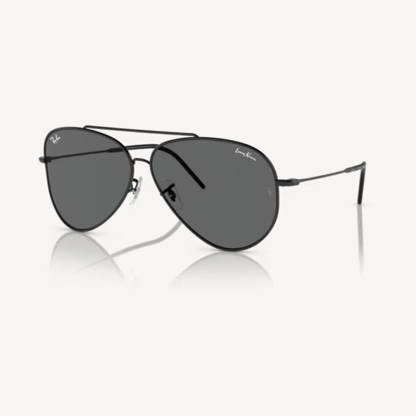 Ray-Ban 0RBR0101S - Aviator reverse
