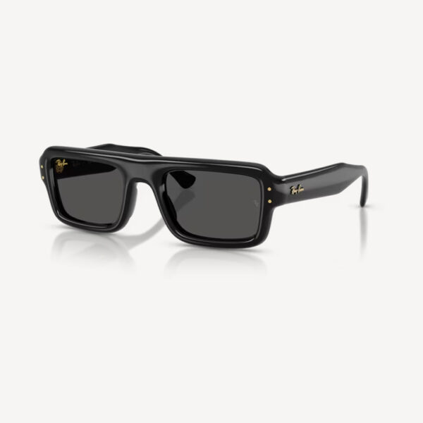 Ray-Ban 0RB4954 - Flacko