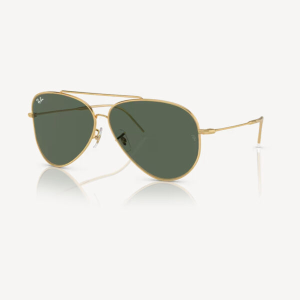 Ray-Ban 0RBR0101S - Aviator reverse