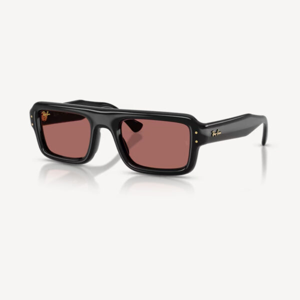 Ray-Ban 0RB4954 - Flacko