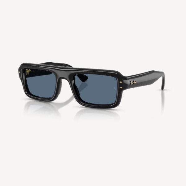 Ray-Ban 0RB4954 - Flacko